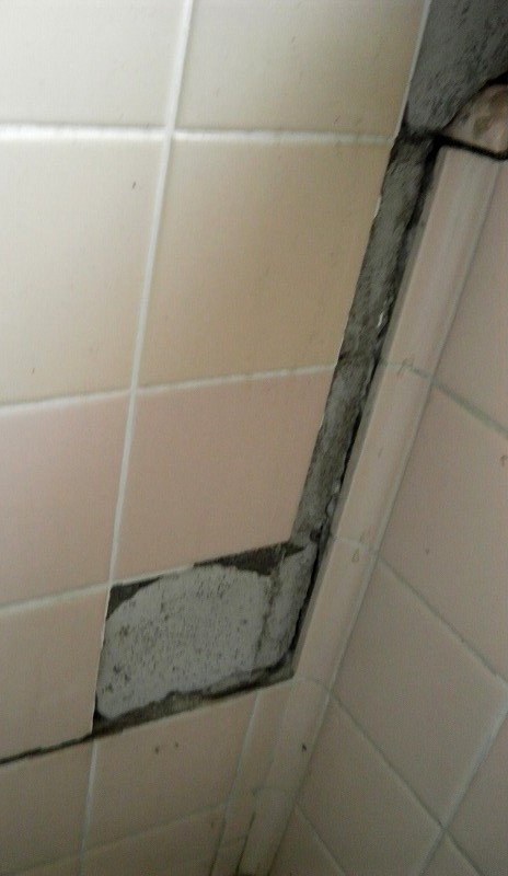 ひび割れた玄関の修復と浴室のリフォーム。